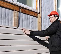 Best Custom Trim and Detailing for Siding  in Twin Grove, IL